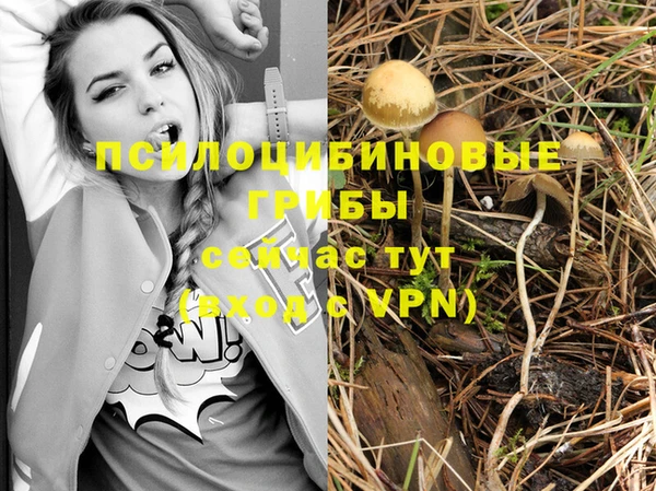 марки nbome Баксан